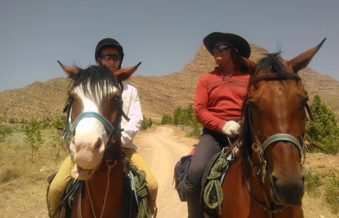 iran-horse-riding-tour