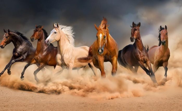 iran-horseback-riding