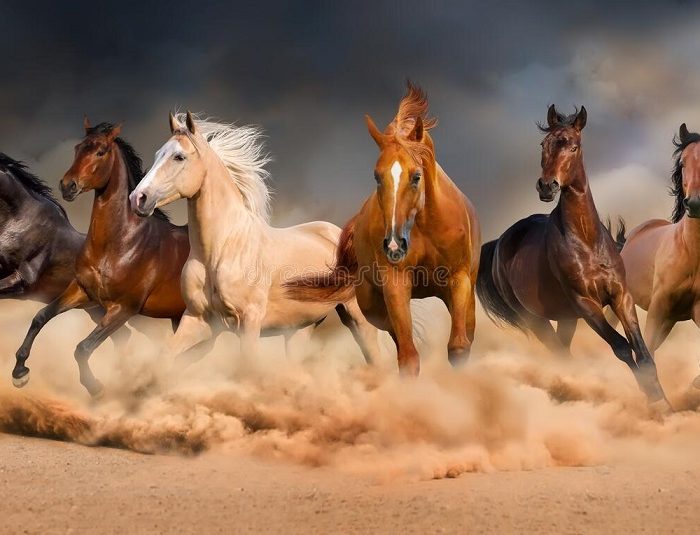 iran-horseback-riding