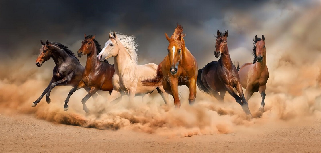 iran-horseback-riding
